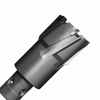 良い値段 35mm 切断深さ 18mm フェイン・クイック・イン・シェンク付き タングメン・カービッド 尖端環形切断機 オンライン