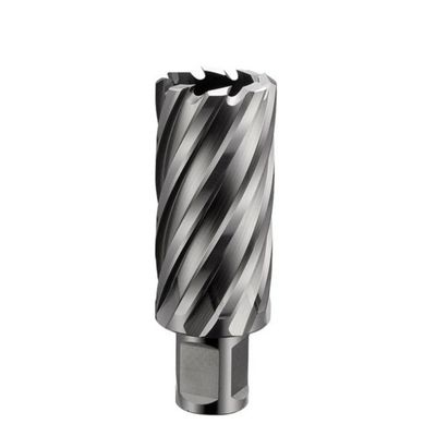品質 25mm X 50mm HSS annular cutter - 3/4インチ (19.05mm) ウェルドンシャンク マグドリルビット 工場